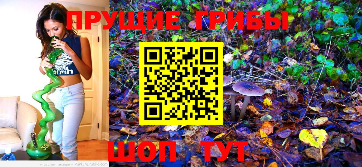 Артёмовский  Галлюциногенные грибы GOLDEN TEACHER  Вход с VPN  Псилоцибиновые грибы ЛСД 